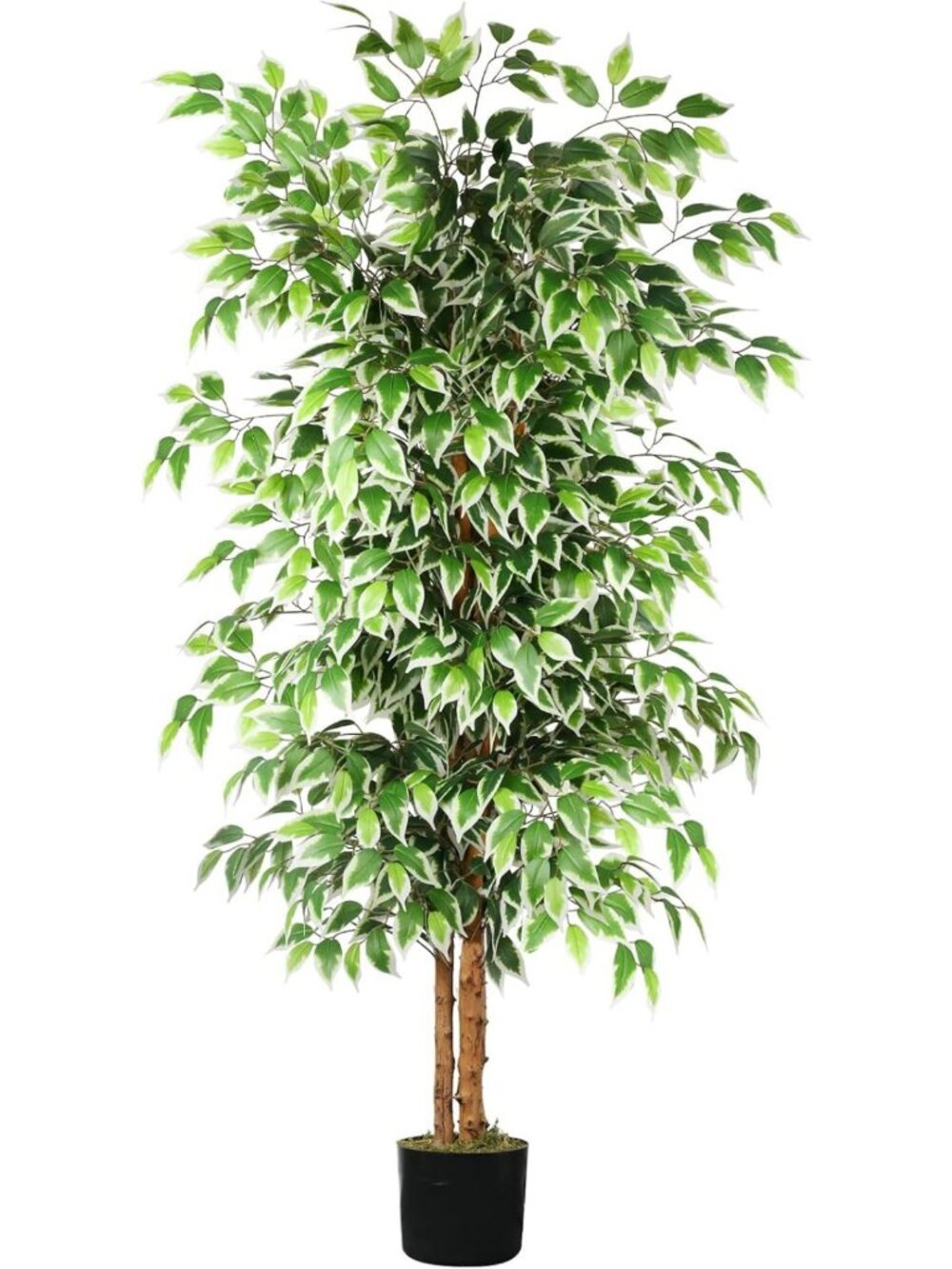6FT Faux Ficus Tree with Real Wood Trunks - Lifelike Indoor Decor Plant